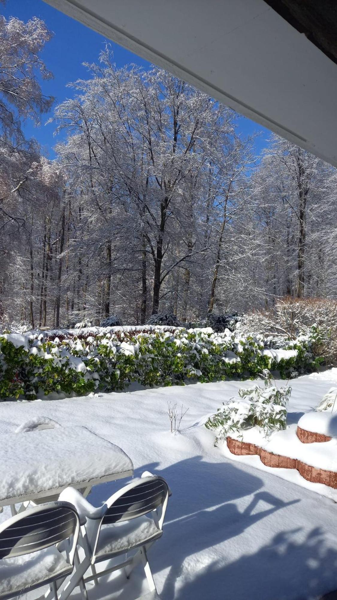 HillscheidHaus Am Waldアパートメント エクステリア 写真
